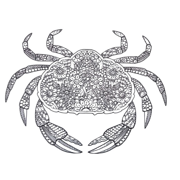 New Ocean Wonders Adult Coloring Book - Picture 10 of 15